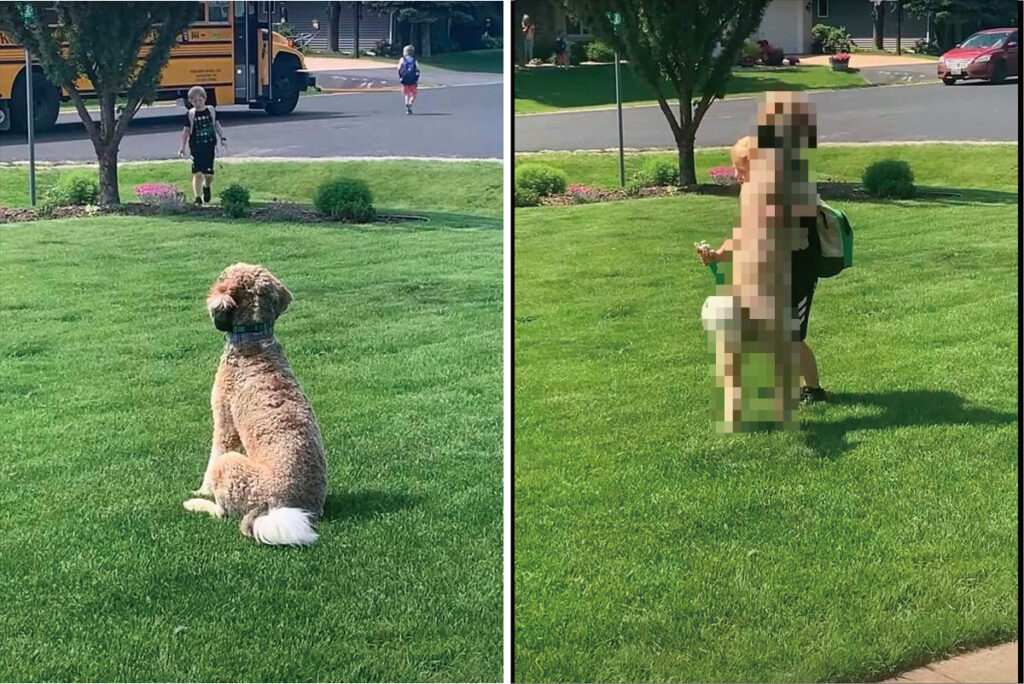 As the bus pulls up, the enthusiastic dog eagerly waits, ready to greet everyone with joyful hugs and wagging tails